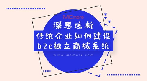 深思浅析 传统企业如何建设b2c独立商城系统