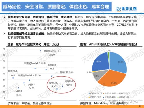 新造车势力专项分析报告119页