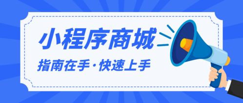 有哪些价位合适的,系统可以买断的电商微信小程序